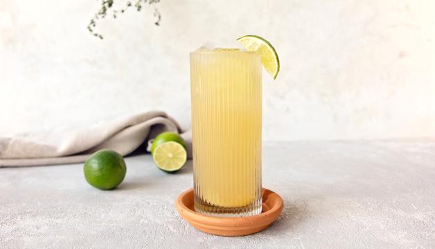 Non-Alcoholic Kombucha Ginger Mule