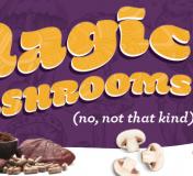 Image https://www.naturalgrocers.com/sites/default/files/styles/resource_finder_176x160/public/media_images/February2022_HHL_FeatureArticle_MagicMushrooms_Thumbnail_676x326.jpg?itok=qh39LiWz