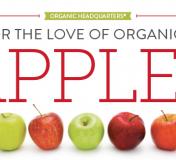 For The Love Of Organics: Apples