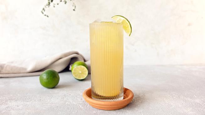 Non-Alcoholic Kombucha Ginger Mule