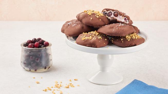 Healthier Frozen Yogurt Dessert