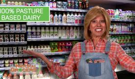 Here vs Here Pasture Based Dairy 3