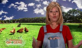 Here vs Here- Free Range Eggs 3