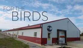 Meet Your Farmer: For the Birds