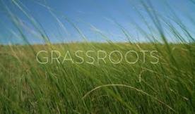 Meet Your Farmer: Grassroots