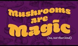 A Nutrient to Know About: Mushrooms