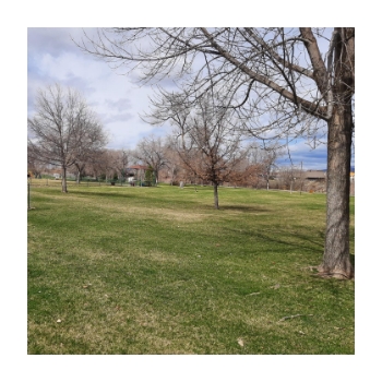 Community Park and McCormick Park — Missoula, Montana