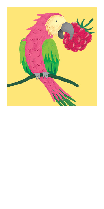 Character profile photo for Penelope the Parrot